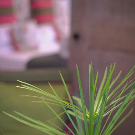 Edera & La Torretta Hotel