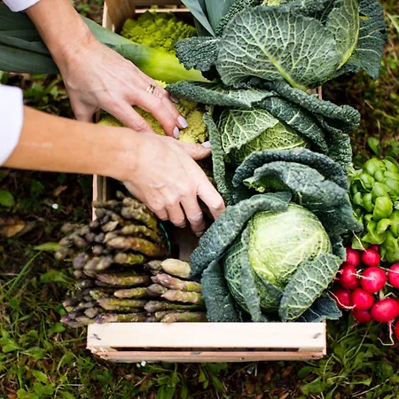 Edera & La Torretta 4* Moneglia