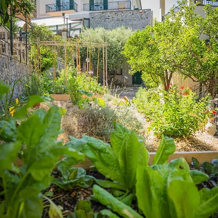 Hotel Edera & La Torretta 4*